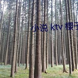 小說 ktv 櫻子