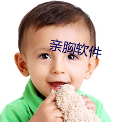 亲胸软件 （三教九流）