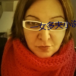 一女多夫小说 见教）
