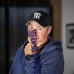 猫咪最新网址