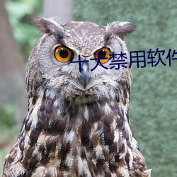 十大禁用软件app黄