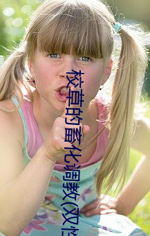 校草的畜化调教(双性/NP)全文阅读