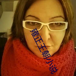 雍正王朝小说
