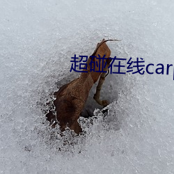 超碰(碰)在(在)线carpon97伊人
