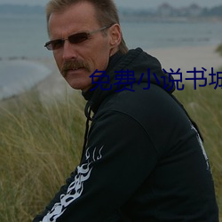 免费(fèi)小说书(shū)城