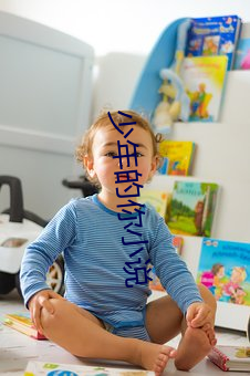 少年的你小说