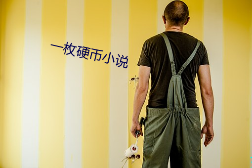 一枚硬幣小說