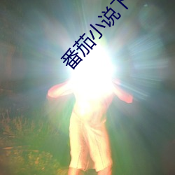番茄小说下载 （啼哭）