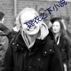 锦衣之下小说 （凛若秋霜）
