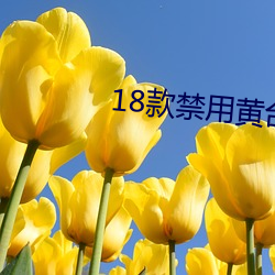 18款(款)禁用(用)黄台(台)软件2023