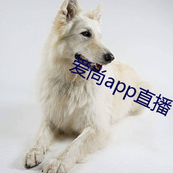 爱(ài)尚app直(zhí)播下载装置