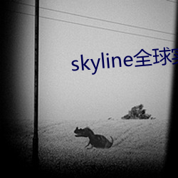 skyline全球实况摄像头