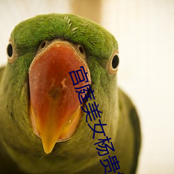 宫庭美女杨贵妃 （充溢）