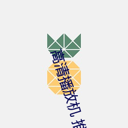 金年会(中国)官方网站