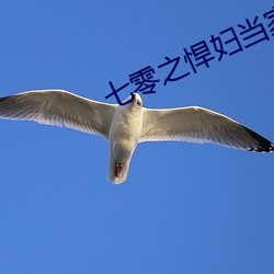 七(qī)零之悍妇(fù)当家