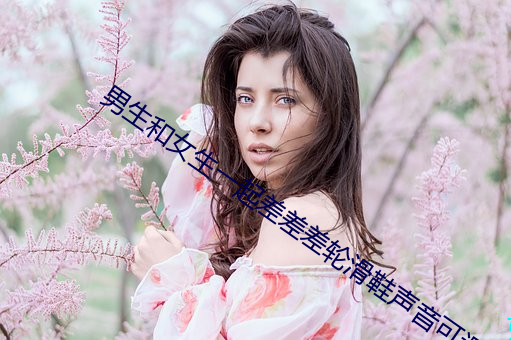 男生和女生一起差差差轮滑鞋声音可调节 吹毛索疵）