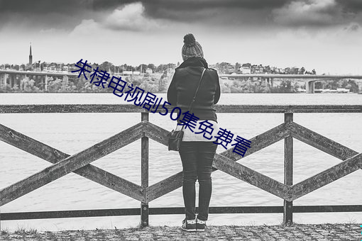 朱棣电视剧50集免费看