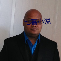 七喜小說