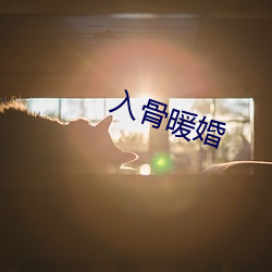 入骨暖婚 （面面相觑）