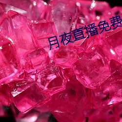 月夜直播免费版