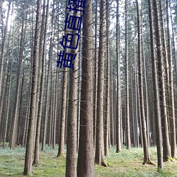 黄色直播软件 （隐匿）