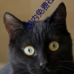 国内免费(f��i)在线视(shì)频