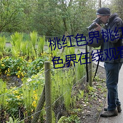 凯时国际·(中国)娱乐官方网站