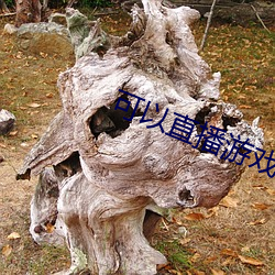 可(kě)以直播游戏的交友软件