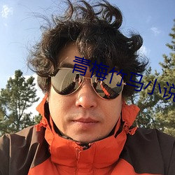 青梅竹马小说 （酣歌恆舞）