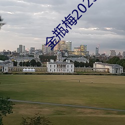 金瓶梅2023 （马放南山）