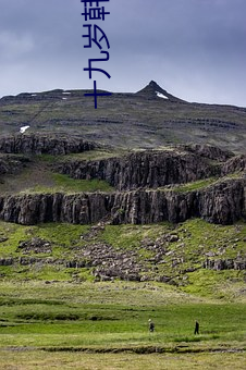 十九岁韩国(國)免费(費)完(完)整版免费