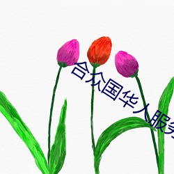 合衆國華人服務