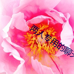 两人专用的(的)聊天软(軟)件