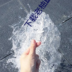 下载老柚直播平台 （焚枯食淡）