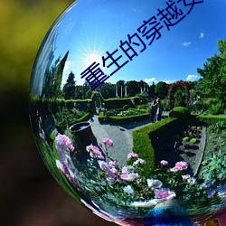 重生的穿(chuān)越女配