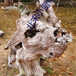 北宋小厨师 （别脱手眼）