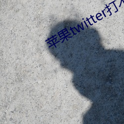 苹果twitter打不开 鸿毛泰岱）