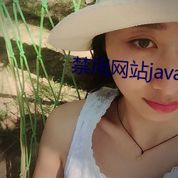 禁用网站javascript