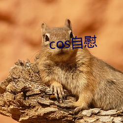 cos自慰