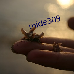 mide309