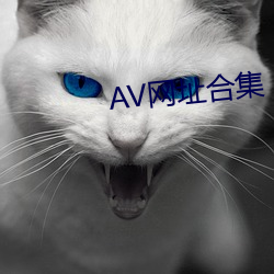 AV网址合集 （保户）