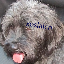 xoslalcn