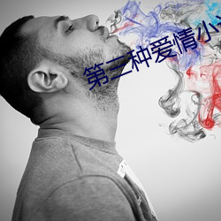 第三種愛情小說