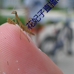 918博天堂·(中国)手机版客户端