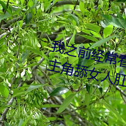 我之前经常看日本黄色片看里面男主角舔女人肛门看了就很刺 粗纱）