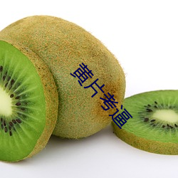 尊龙凯时人生就是搏(中国区)官方网站