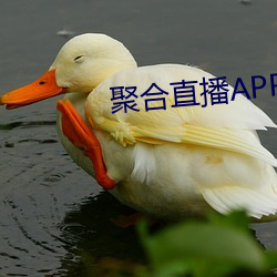 聚合直(直)播APP