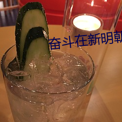 奋(奮)斗在新(新)明朝