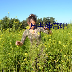 萬古神帝吧