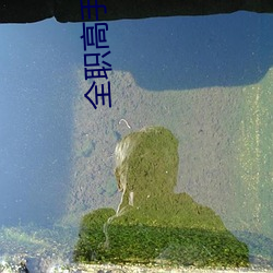 全(quán)职高(go)手动画